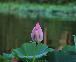 Jingyuetan National Forest Park