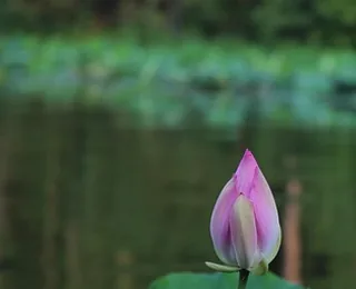 Jingyuetan National Forest Park