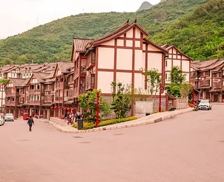 Wulong Tianlong Three Bridges