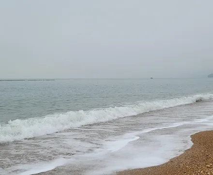 Tiger Beach Ocean Park