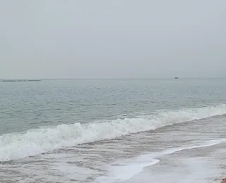 Tiger Beach Ocean Park