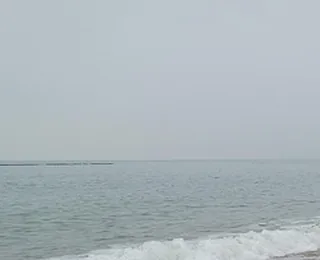 Tiger Beach Ocean Park