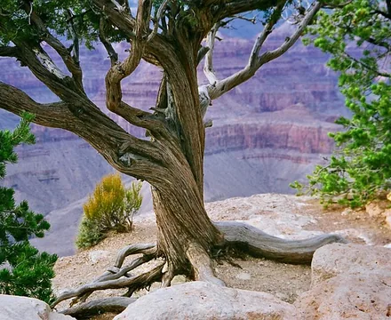 Enshi Grand Canyon
