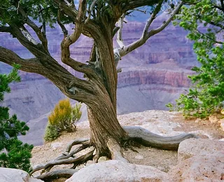 Enshi Grand Canyon