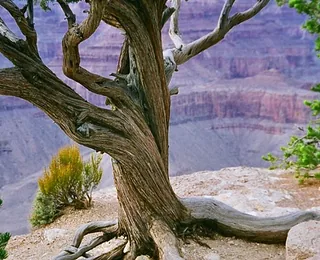 Enshi Grand Canyon
