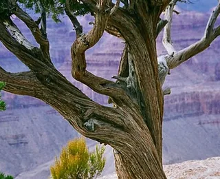 Enshi Grand Canyon