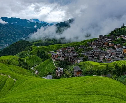 龙脊梯田