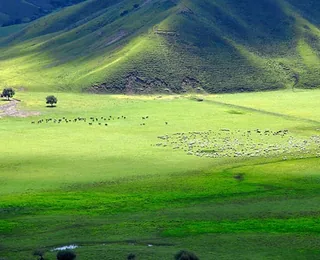 Inner Mongolia Museum