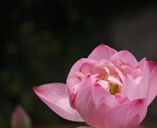 Baotu Spring