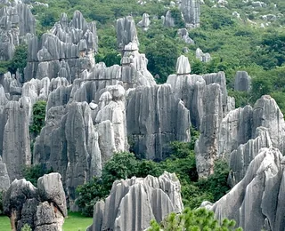 Stone Forest Scenic Area