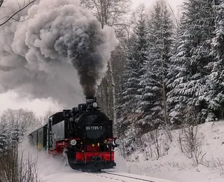 Jiayang Steam Train