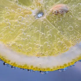 Lemon Duck