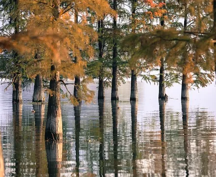 Dongqian Lake