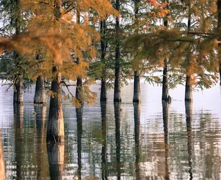 Dongqian Lake
