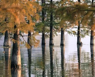 Dongqian Lake