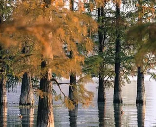 Dongqian Lake