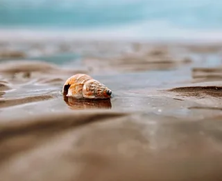 Golden Sand Beach