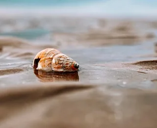 Golden Sand Beach