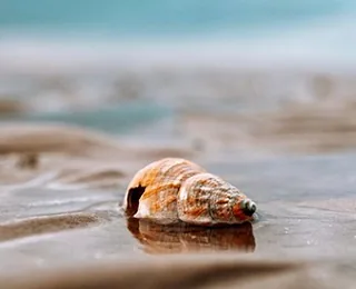Golden Sand Beach