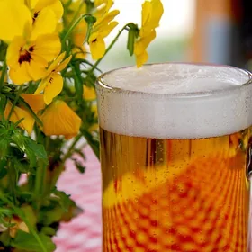 Qingdao Beer