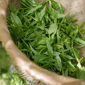 Wuyuan green tea