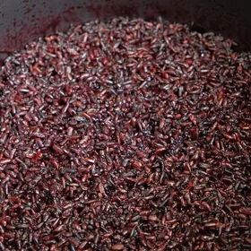 Wenzhou sticky rice