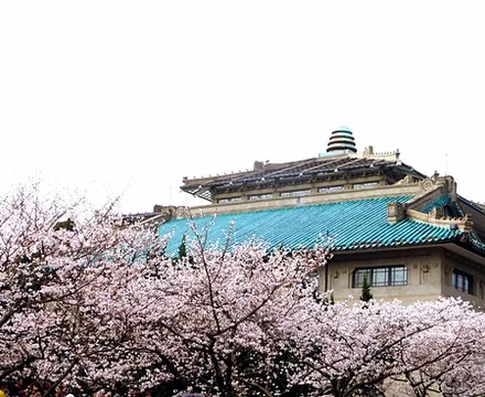 Wuhan University