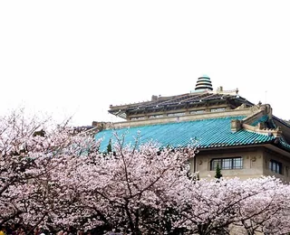 Wuhan University