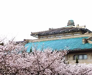 Wuhan University