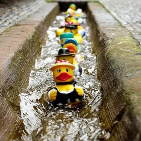 Duck neck