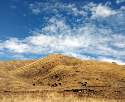 Qinghai Tibetan Culture Museum