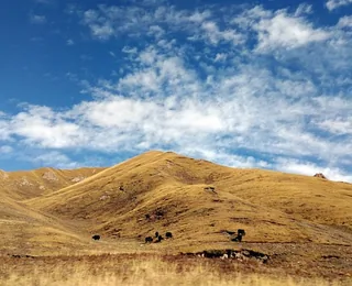 Qinghai Tibetan Culture Museum
