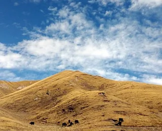 Qinghai Tibetan Culture Museum