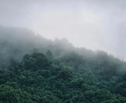 Tianmen Mountain National Forest Park