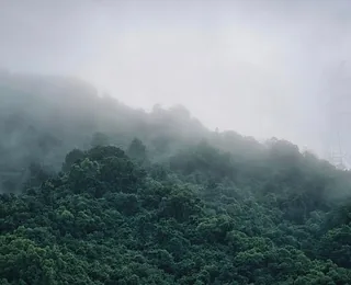 Tianmen Mountain National Forest Park