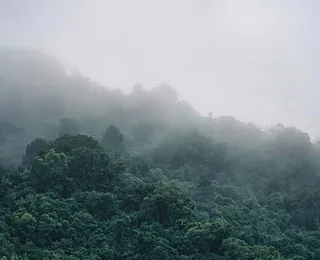 Tianmen Mountain National Forest Park