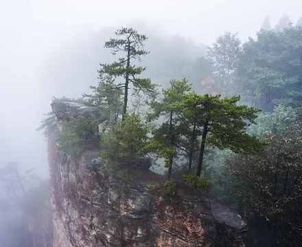 Zhangjiajie National Forest Park