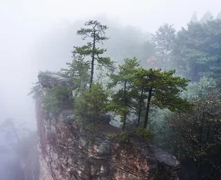 Zhangjiajie National Forest Park