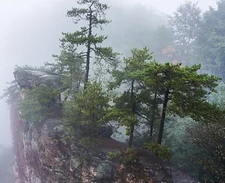 Zhangjiajie National Forest Park