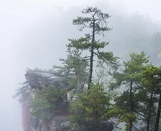 Zhangjiajie National Forest Park