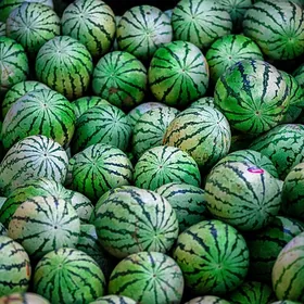 Selenium-sand melon